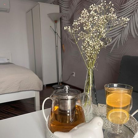 Apartament Na Starowce VII Pszczyna Eksteriør bilde