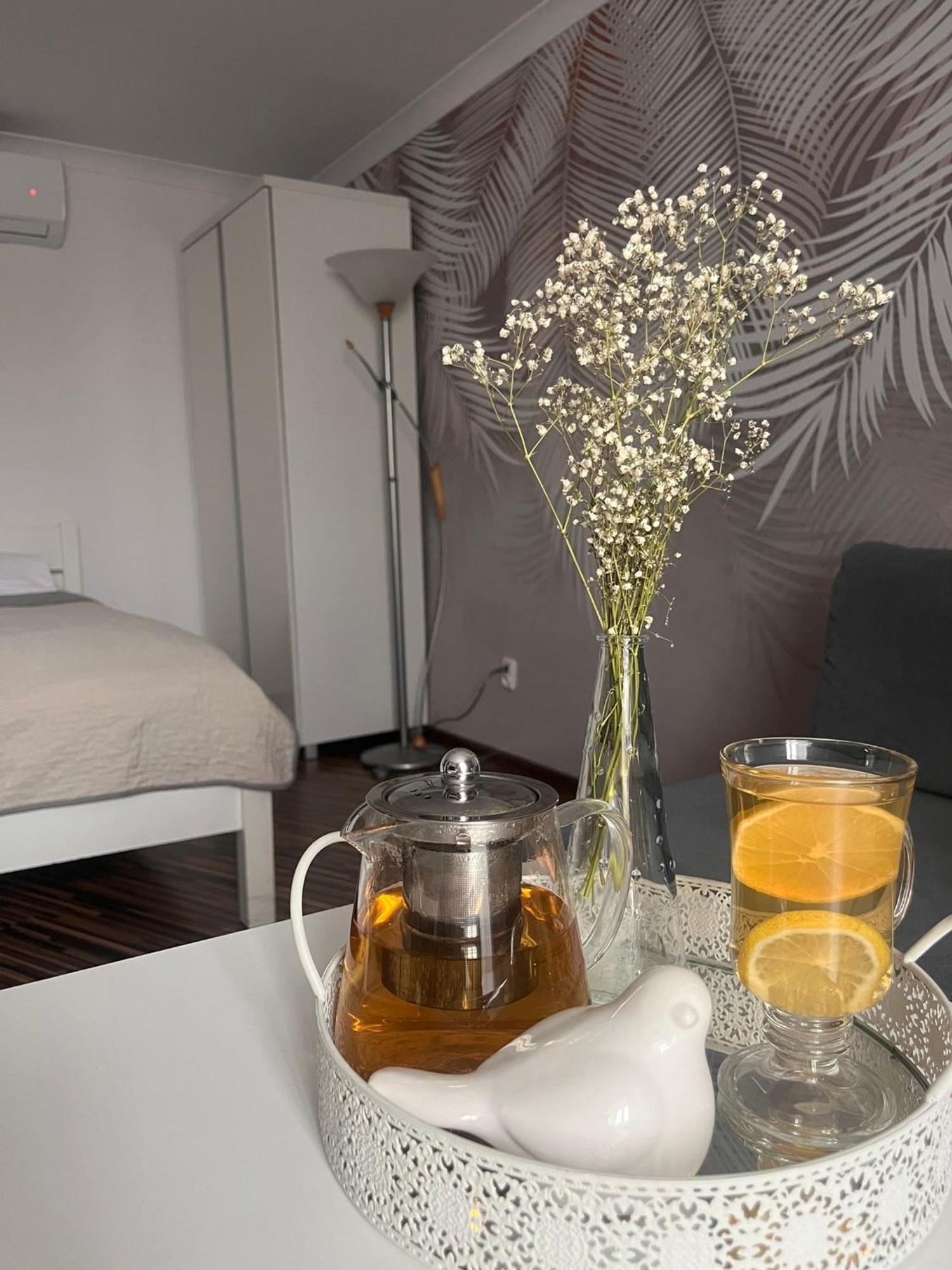 Apartament Na Starowce VII Pszczyna Eksteriør bilde